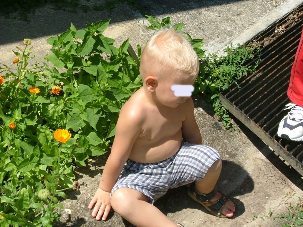 kisfiú mereng az élet nagy dolgain a természetben